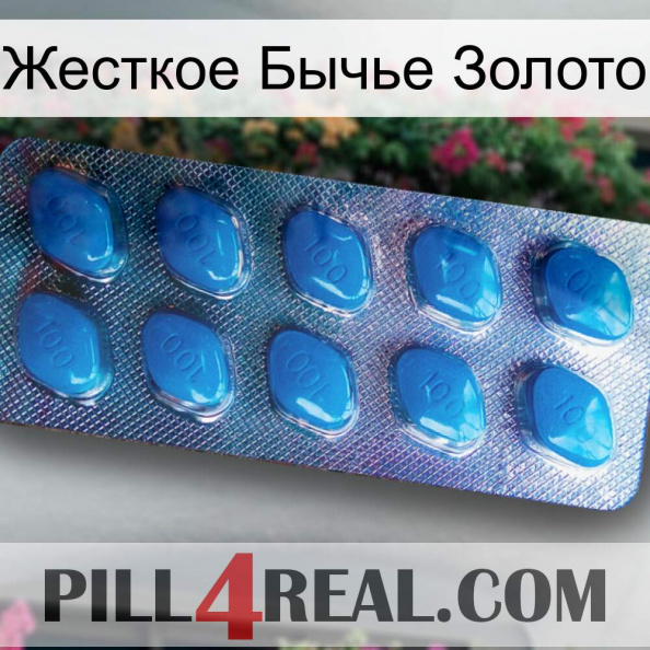 Жесткое Бычье Золото viagra1.jpg